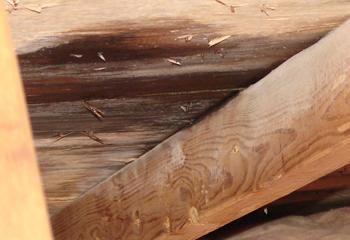 Allsides Roofing and Construction Images